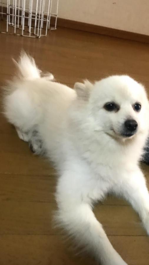 Stay Akeboshi Kan Хакодате Экстерьер фото